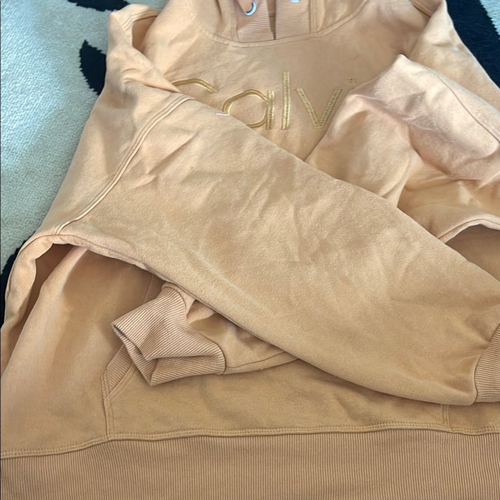 Calvin Klein Beige Hoodie and Joggers Set - Picture 15 of 16